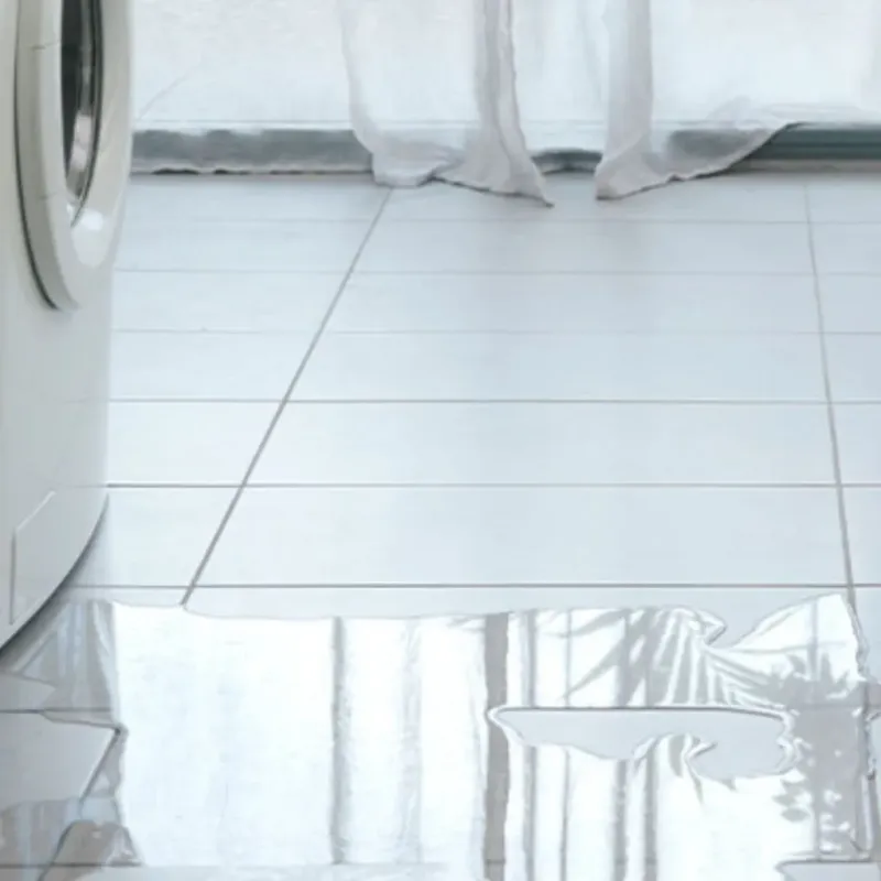 Appliance Leak Cleanup in Swanton, OH