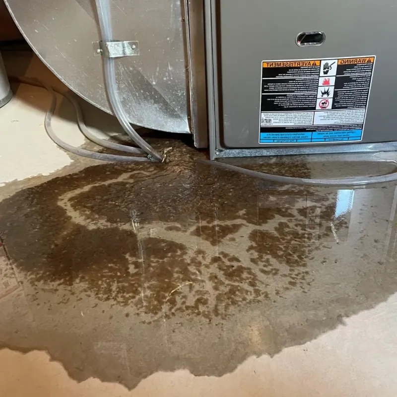 Pipe Burst and Leak Restoration in Swanton, OH