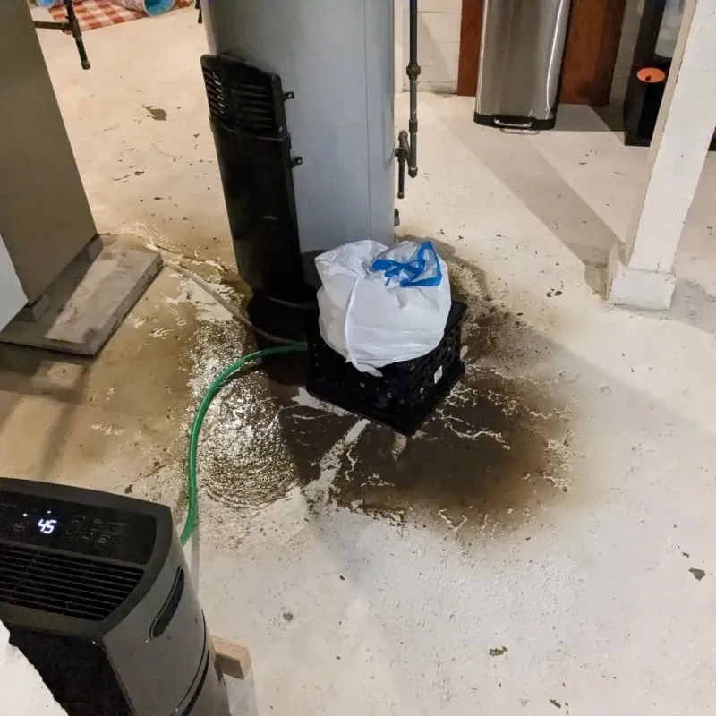 Sewage Backup Cleanup Service in Swanton, OH